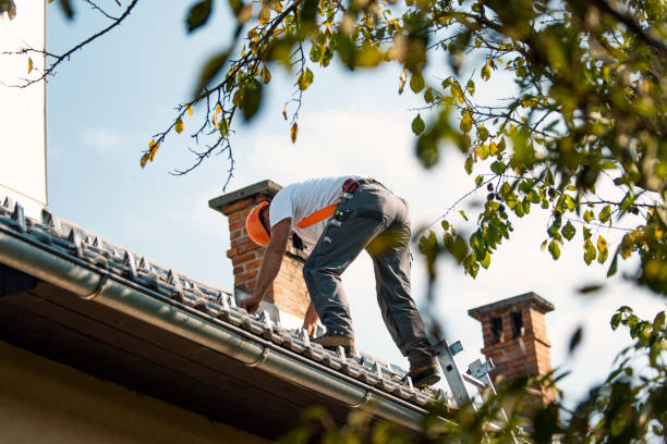 Best Roof Maintenance Services  in West Sharyland, TX