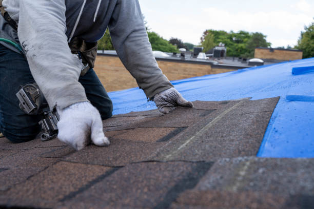 Best Local Roofing Companies  in West Sharyland, TX