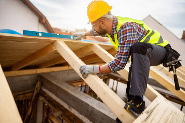 Best Roof Gutter Cleaning  in West Sharyland, TX