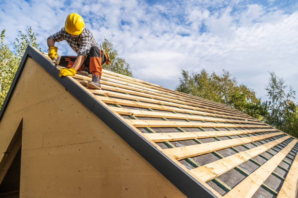 Roof Gutter Cleaning in West Sharyland, TX